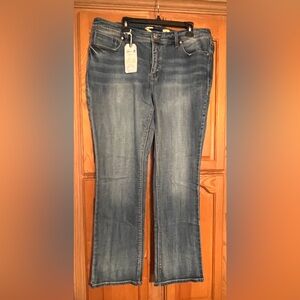 Seven7 Limited Edition